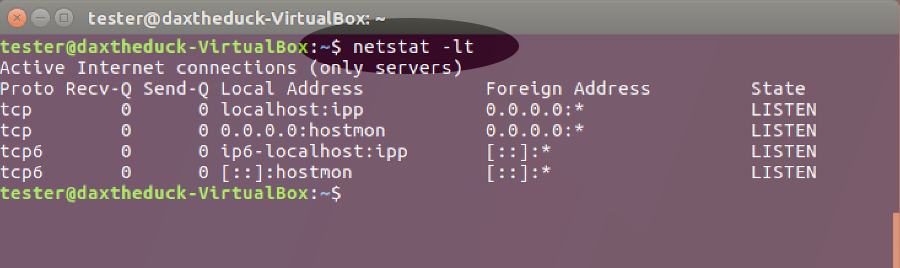 Screenshot showing use of the 'netstat' command on Linux