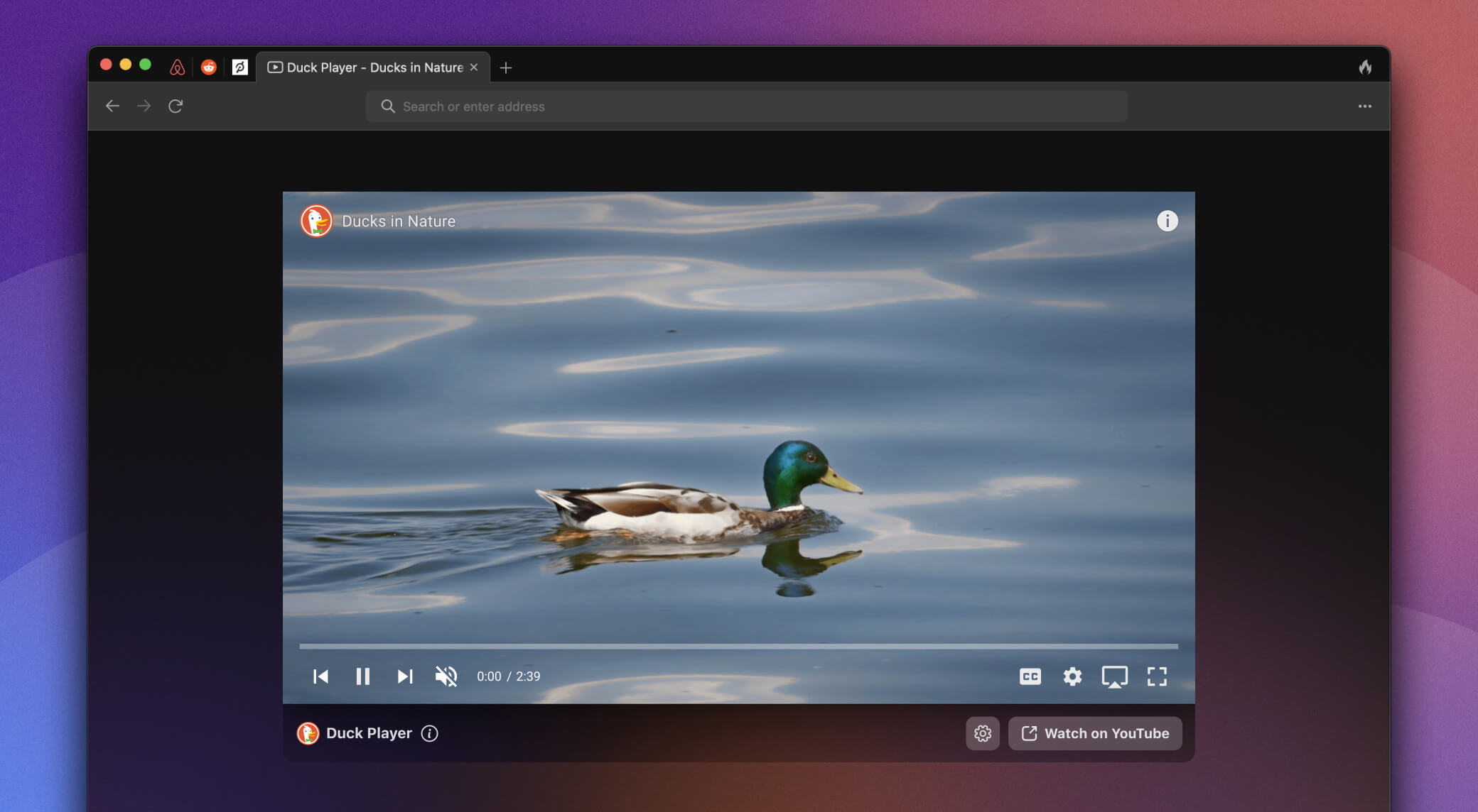 The wait is over: DuckDuckGo for Mac beta now open to the public!